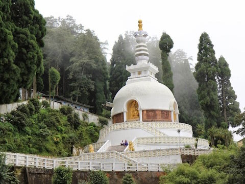 Darjeeling and Gangtok Tour