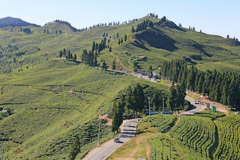 Darjeeling, Mirik and Kalimpong Tour