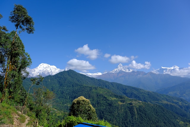 Darjeeling, Mirik and Kalimpong Tour